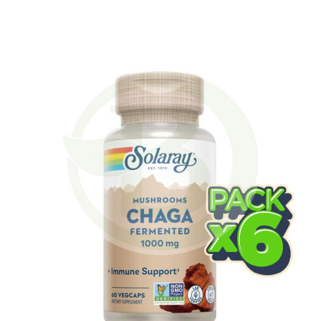 Pack 6x Chaga Fermented 500 Mg. - 60 Vegcaps Solaray