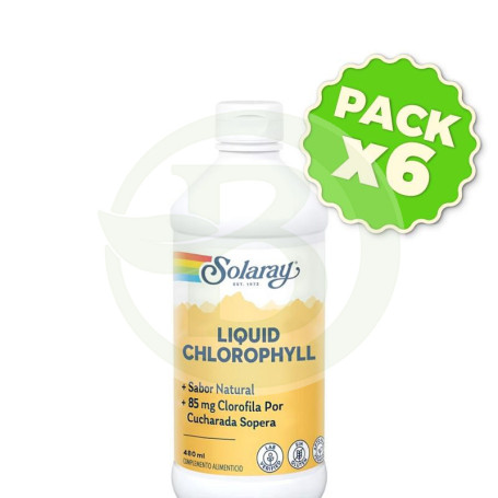Pack 6x Chlorophyll Líquida 480 Ml Solaray