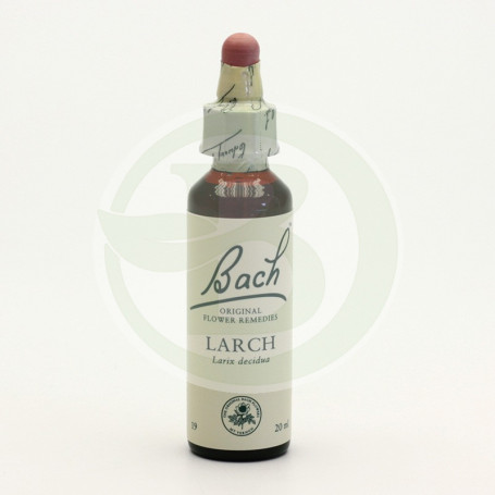 Flores de Bach Larch (Alerce) 20Ml. Bach