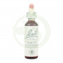 Flores de Bach Star of Bethlehen 20Ml. Bach