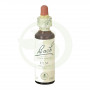 Flores de Bach Elm (Olmo) 20Ml. Bach