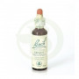 Flores de Bach Sweet Chestnut (Castaño Dulce) 20Ml. Bach