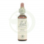 Flores de Bach Pine (Pino Silvestre) 20Ml. Bach