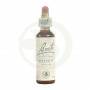 Flores de Bach Walnut (Nogal) 20Ml. Bach