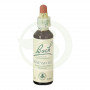 Flores de Bach Honeysuckle (Madreselva) 20Ml. Bach