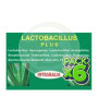 Pack 6x Lactobacillus Plus Integralia