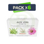 Pack 6x Aloe Vera Forte 20 Viales Integralia