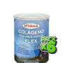 Pack 6x Colageno Forte Flex Vainilla 300G Integralia