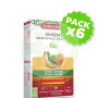 Pack 6x Ginseng Jalea Real Bio 20 Ampollas Superdiet