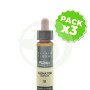 Pack 3x Elixir Floral 9 Clematis 10Ml. Plantis