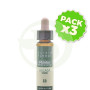 Pack 3x Elixir Floral 13 Gorse 10Ml. Plantis