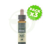 Pack 3x Elixir Floral 25 Castaño Rojo 10ml Plantis