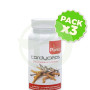 Pack 3x Cordyceps 60 Cápsulas Plantis