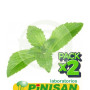 Pack 2x Stevia En Planta 40Gr. Pinisan