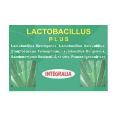 Lactobacillus Plus Integralia