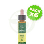 Pack 6x Elixir Floral 20 Mimulus 10Ml. Plantis