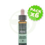 Pack 6x Elixir Floral 2 Aspen 10Ml. Plantis