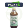 Pack 6x Graviola 500Ml. Plantis