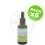 Pack 6x Extracto De Ginkgo Biloba 50Ml. Plantis