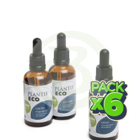 Pack 6x Extracto de Castaño de Indias ECO S/A 50Ml. Palntis