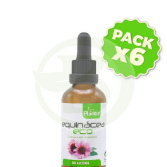 Pack 6x Extracto de Equinácea ECO S/A 50Ml. Plantis