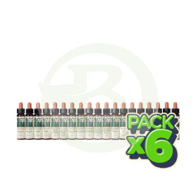 Pack 6x Elixir Floral 8 Chicory 10Ml. Plantis