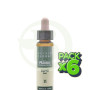 Pack 6x Elixir Floral 11 Elm 10Ml. Plantis