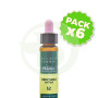 Pack 6x Elixir Floral 12 Gentian 10Ml. Plantis
