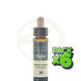 Pack 6x Elixir Floral 16 Honeysuckle 10Ml. Plantis