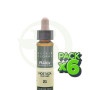 Pack 6x Elixir Floral 21 Mustard 10Ml. Plantis
