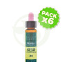Pack 6x Elixir Floral 29 Leche de Gallina 10ml Plantis