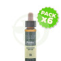 Pack 6x Elixir Floral 31 Verbena 10Ml. Plantis