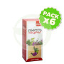 Pack 6x Digest 250Ml. Plantis