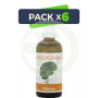 Pack 6x Oligoginkgo 100Ml. Plantis