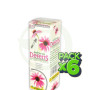 Pack 6x Echina Defens Pinisan