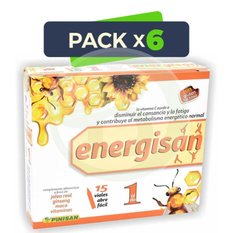 Pack 6x Energisan 15 Viales Pinisan
