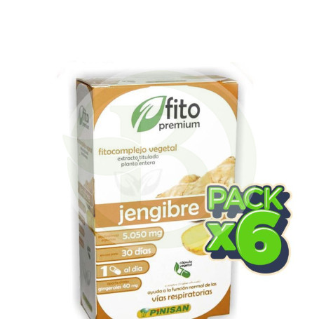 Pack 6x Fito Premium Jengibre 30 Cápsulas Pinisan