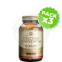 Pack 3x Calcio/Magnesio Plus Boro 100 Cápsulas Solgar