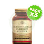 Pack 3x Bilberry Ginkgo Eyebright Complex 60 Cápsulas Solgar