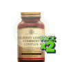 Pack 2x Bilberry Ginkgo Eyebright Complex 60 Cápsulas Solgar