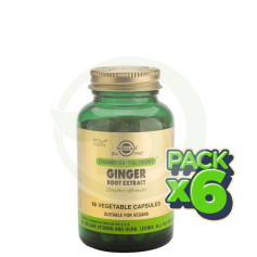 Pack 6x Jengibre Raíz 60 Cápsulas Solgar