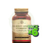 Pack 6x Bilberry Ginkgo Eyebright Complex 60 Cápsulas Solgar