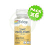 Pack 6x Picolinato De Zinc 25Mg 60 Comprimidos Solaray