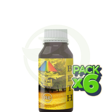 Pack 6x Beth 21 Br 250Ml. Bequisa