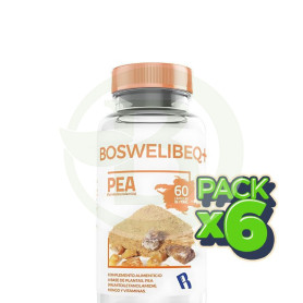 Pack 6x Boswelibeq+ Pea 60 Capsulas Bequisa