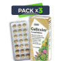 Pack 3x Gallexier Comprimidos Salus