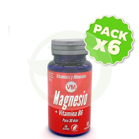 Pack 6x Magnesio + Vitamina B6 Envase De 60 Comprimidos Ynsadiet