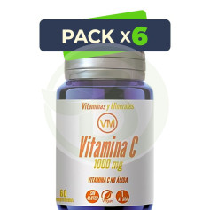 Pack 6x Vitamina C 1000 Mg 60 Comprimidos Ynsadiet