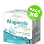 Pack 6x Zentrum Magnesio Vital Liquid 20 Viales Ynsadiet
