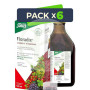 Pack 6x Floradix Jarabe 500Ml. Salus